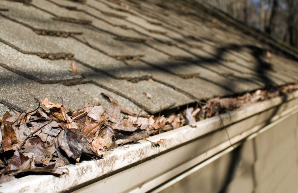 impact of fall leaves on gutters