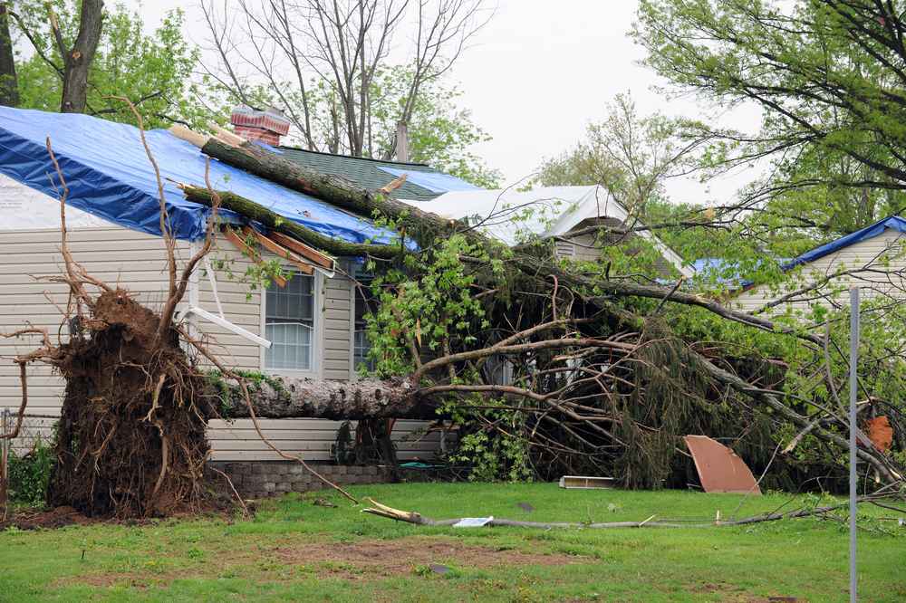 Trusted Roof Damage Repair in Norwood, MA