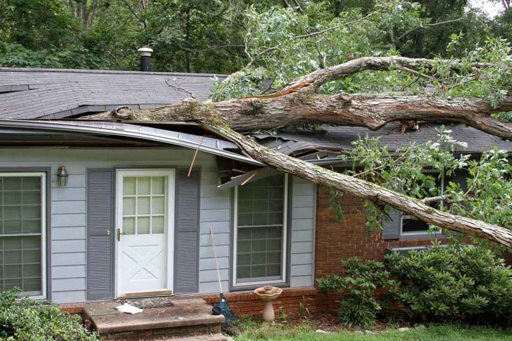 Trusted Storm Damage Repair in Randolph, MA